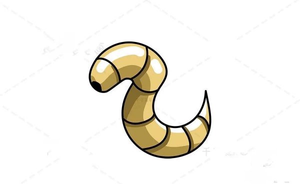 农村冷门暴利养殖业有哪些