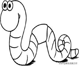 农村冷门暴利养殖业有哪些