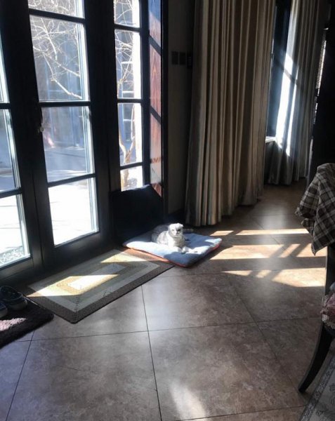 周扬青的家世怎么样