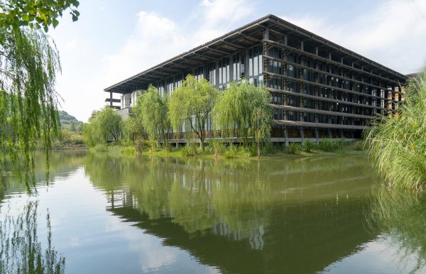 新高考选纯文吃亏吗