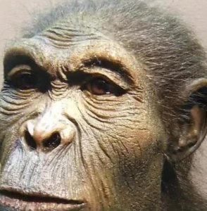 穆里亚文明是真的假的 穆里亚文明是真实存在的吗