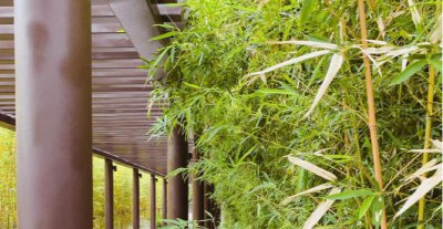 清远是广东最穷的吗 清远市清远区是不是广东最穷的