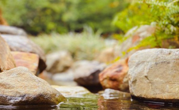 清远是广东最穷的吗