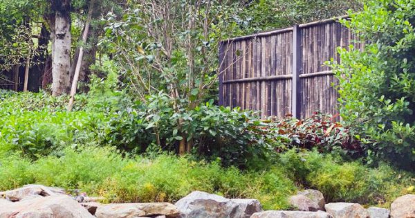 清远是广东最穷的吗