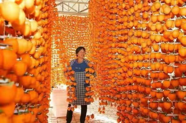 陕西特产有哪些土特产