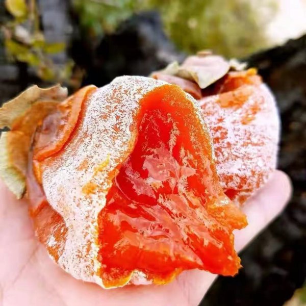 陕西特产有哪些土特产