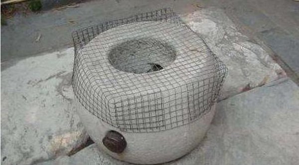 为什么不能看珍妃井