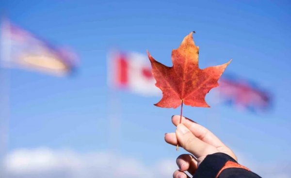 加拿大移民pr是什么意思