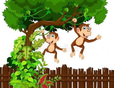 小猴子捞月亮的故事简单介绍 小猴子捞月的故事讲的内容