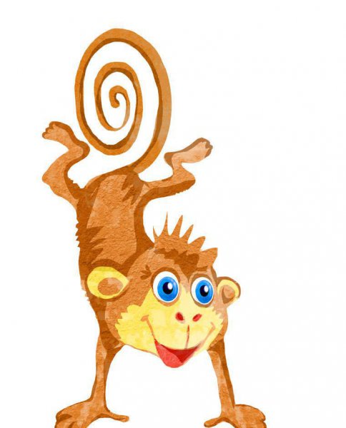 小猴子捞月亮的故事简单介绍