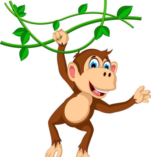 小猴子捞月亮的故事简单介绍