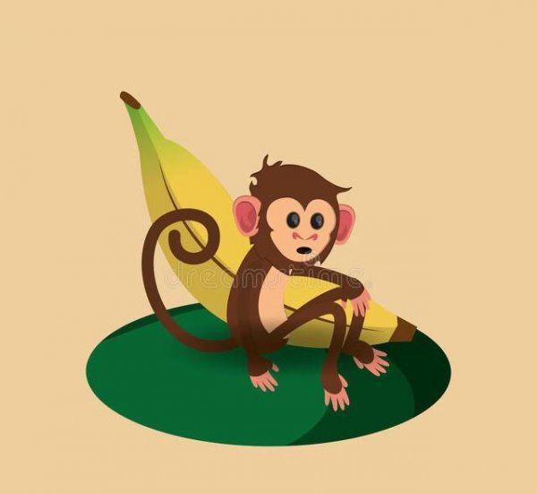 小猴子捞月亮的故事简单介绍