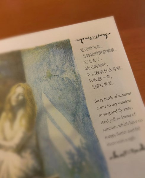 《飞鸟集》的经典名句