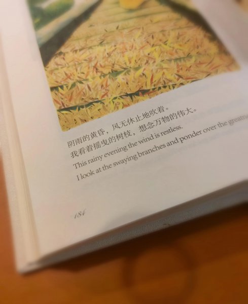 《飞鸟集》的经典名句