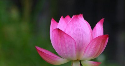 三句话马上让你不心烦 道德经中这3句话让你心态平静下来