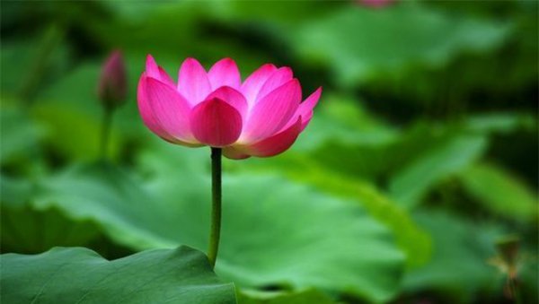 三句话马上让你不心烦