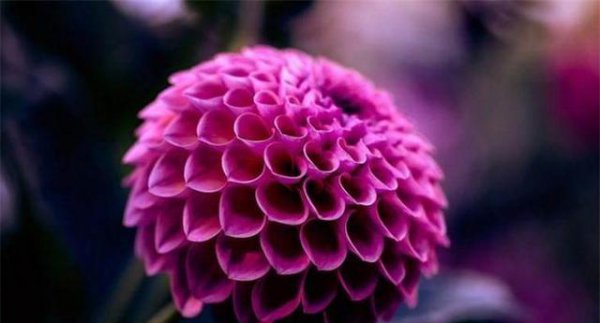 三句话马上让你不心烦