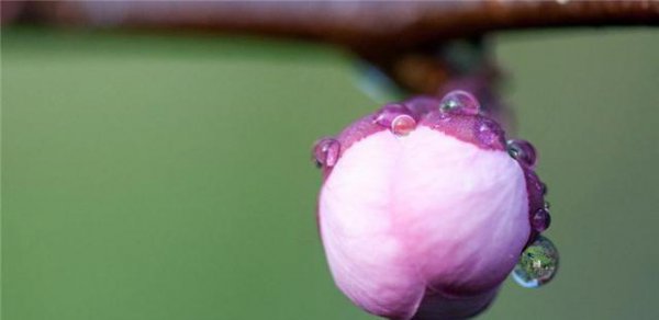 三句话马上让你不心烦