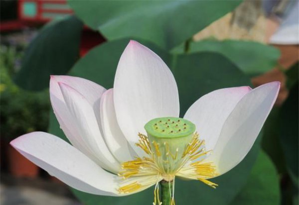 三句话马上让你不心烦