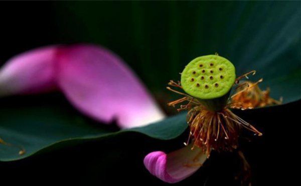 三句话马上让你不心烦