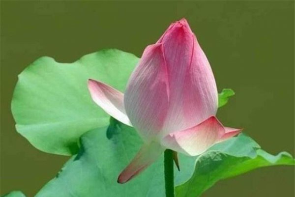 三句话马上让你不心烦