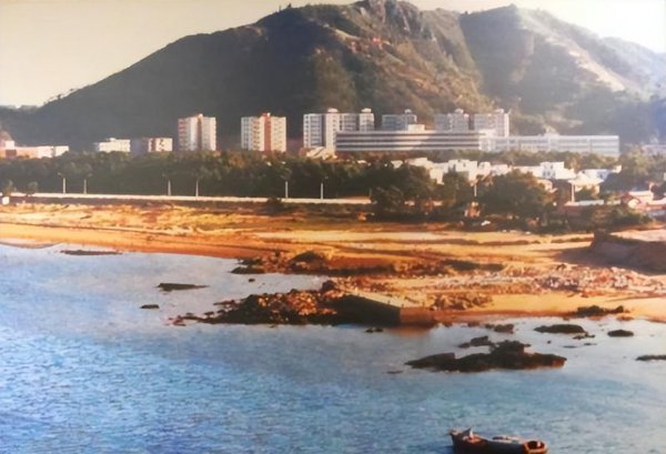 董明珠个人简短经历