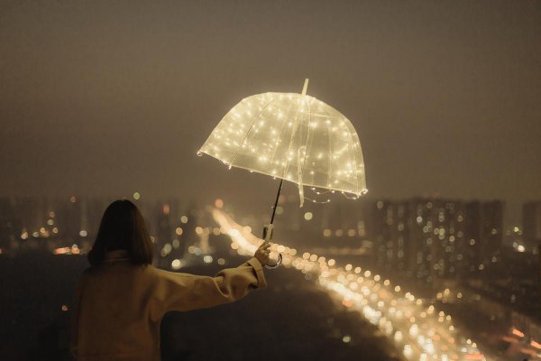 人生经历风雨励志语录