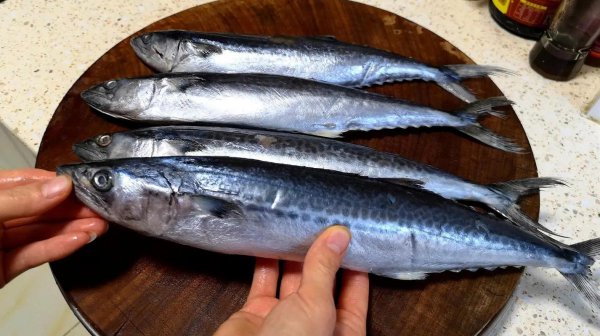 菜市场常见的鱼有哪些