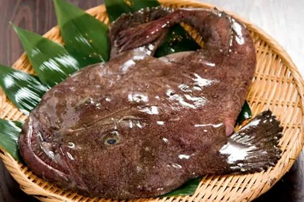 菜市场常见的鱼有哪些