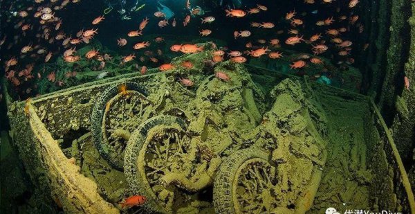 海底世界的秘密有哪些