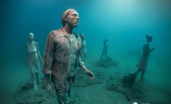 海底世界的秘密有哪些