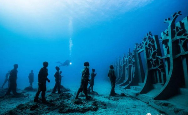 海底世界的秘密有哪些