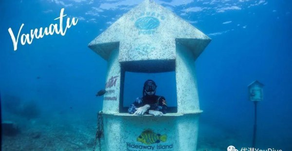 海底世界的秘密有哪些