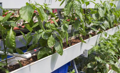 农学类就业最好的专业 就业质量非常高的农学专业