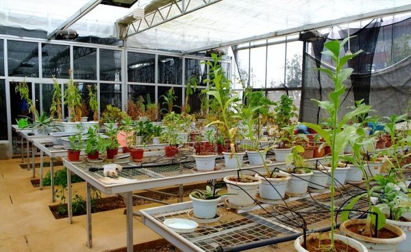 农学类就业最好的专业