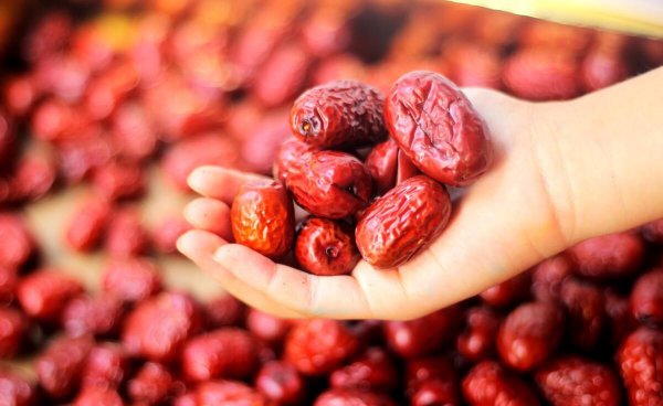 农学类就业最好的专业