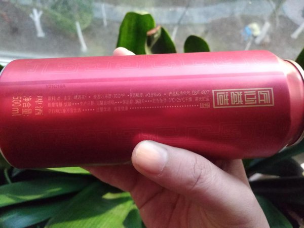 中国精酿啤酒前十名