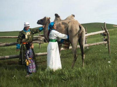为什么没人喝猪奶 没毒的猪奶为啥市场上没人卖