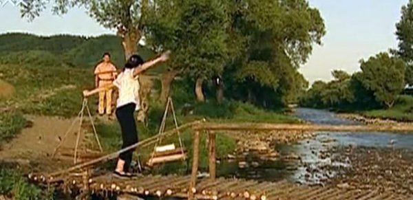 王亚彬资料简介