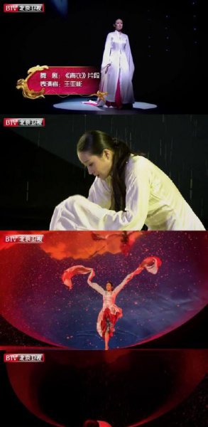 王亚彬资料简介