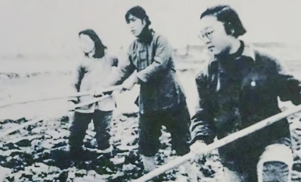 谷建芬个人资料简介