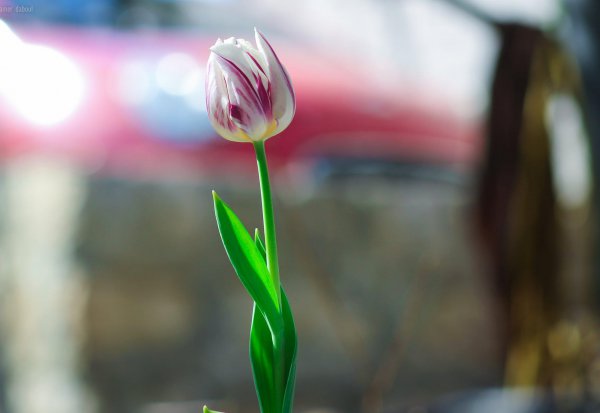 女生受伤了怎么安慰