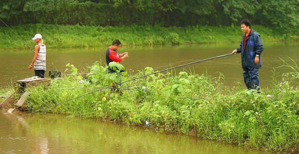 寻找黑鱼的技巧和方法