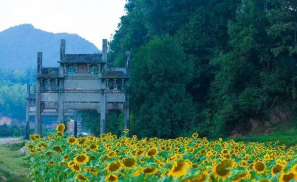 安微十大旅游景点排名