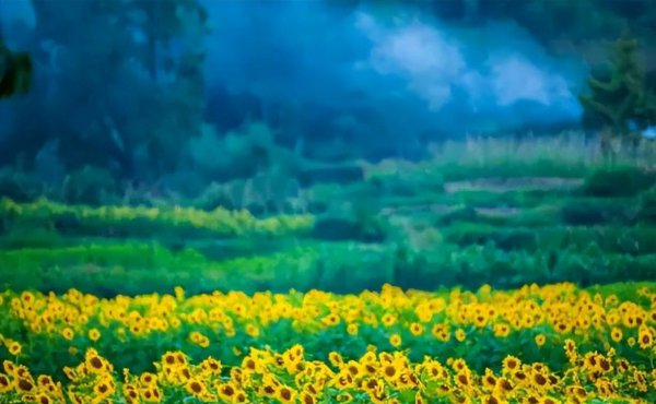 安微十大旅游景点排名