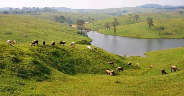 安微十大旅游景点排名