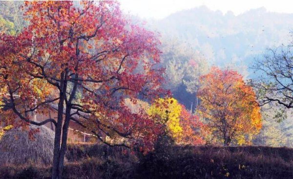 安微十大旅游景点排名