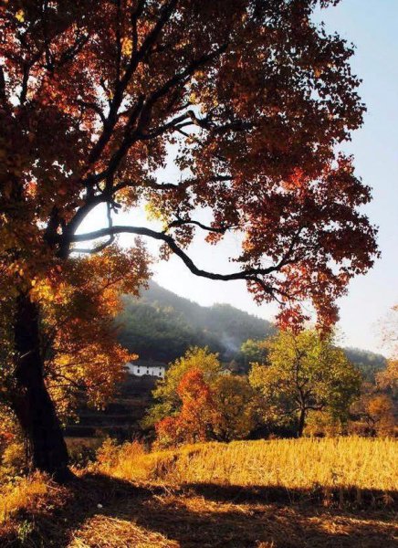 安微十大旅游景点排名