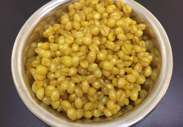 钓鲫鱼窝料的绝密配方大全