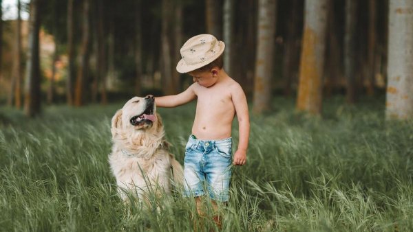 水瓶男和什么星座最配